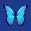 Bluesky Scheduler