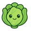 CabbageSEO