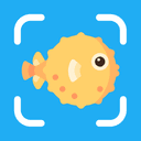 FishPi