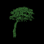 Growth Terminal