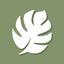 Monstera