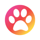 Pawtra