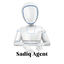 Sadiqagent