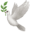 Scopeb